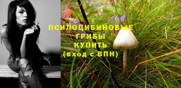 2c-b Аркадак
