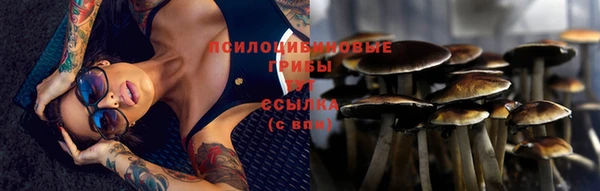 МДМА Арсеньев